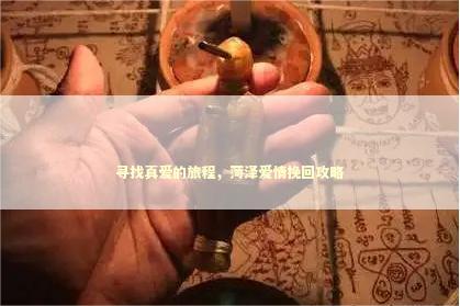 寻找真爱的旅程，菏泽爱情挽回攻略