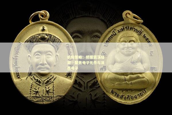 机构策略：把握震荡格局，聚焦电子元件与消费电子