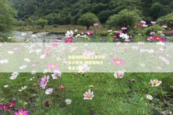 泰国情降挽回法事花费多少费用-泰国情降法事多少钱