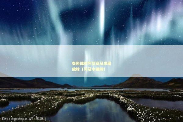 泰国佛牌阿赞莫凤求凰佛牌（阿赞丰佛牌）