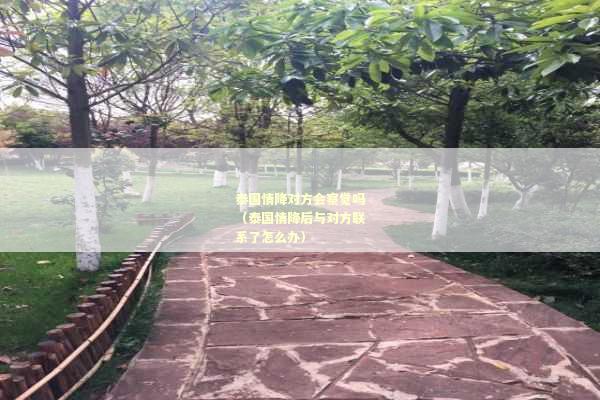 泰国情降对方会察觉吗（泰国情降后与对方联系了怎么办）