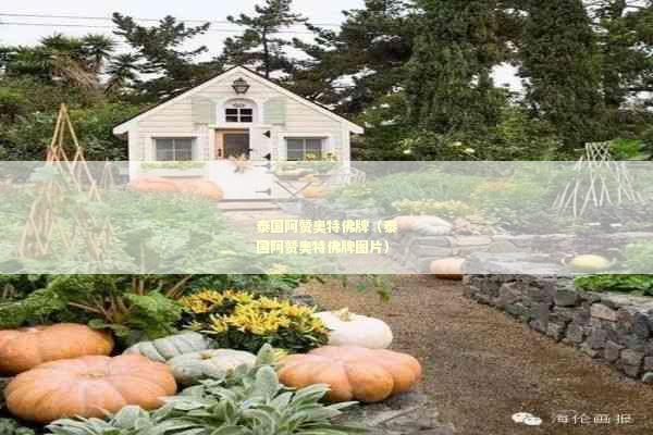 泰国阿赞奥特佛牌（泰国阿赞奥特佛牌图片）
