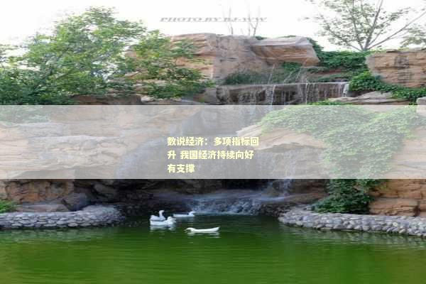 数说经济：多项指标回升 我国经济持续向好有支撑