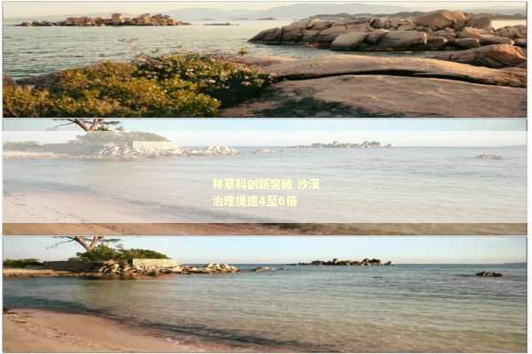 林草科创新突破 沙漠治理提速4至6倍