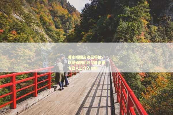 哪家婚姻咨询靠得住？这些婚姻问题可能需要专业人士介入分析