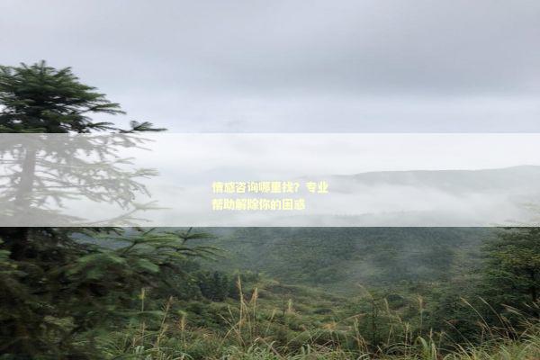情感咨询哪里找？专业帮助解除你的困惑