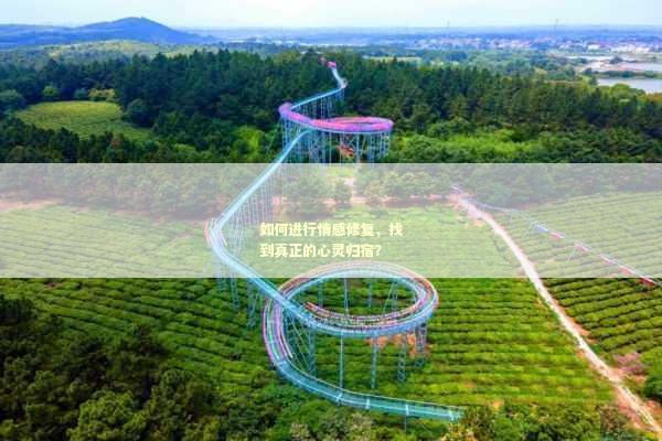 如何进行情感修复，找到真正的心灵归宿？