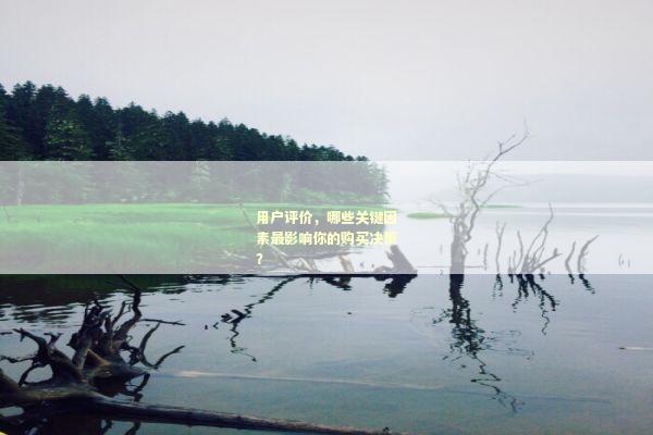用户评价，哪些关键因素最影响你的购买决策？