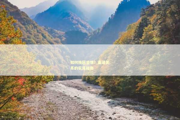 如何挽回感情？重建关系的实用指南