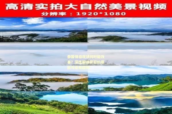 泰国情感现状何时能改善？深度解读背后的原因与未来趋势