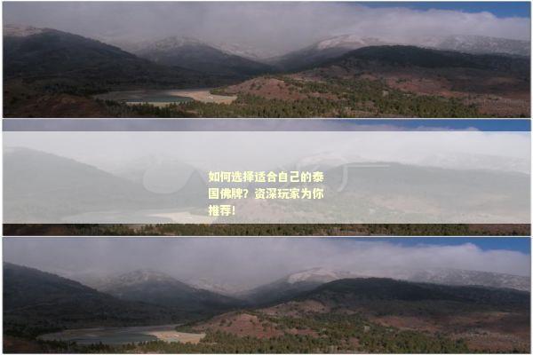 如何选择适合自己的泰国佛牌？资深玩家为你推荐！