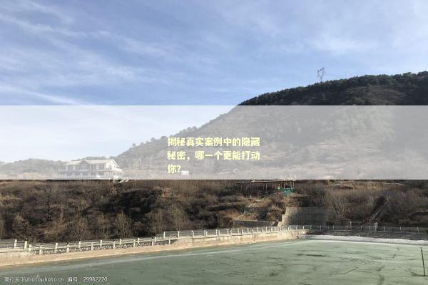 揭秘真实案例中的隐藏秘密，哪一个更能打动你？